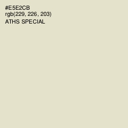 #E5E2CB - Aths Special Color Image